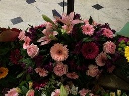 IMG_9696